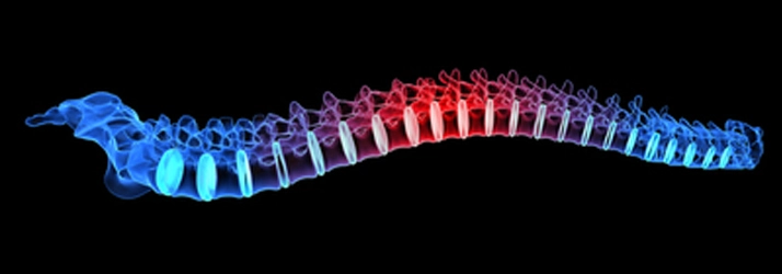 Chiropractic Downtown Dallas TX Spine Chiropractic Downtown Dallas TX Spine